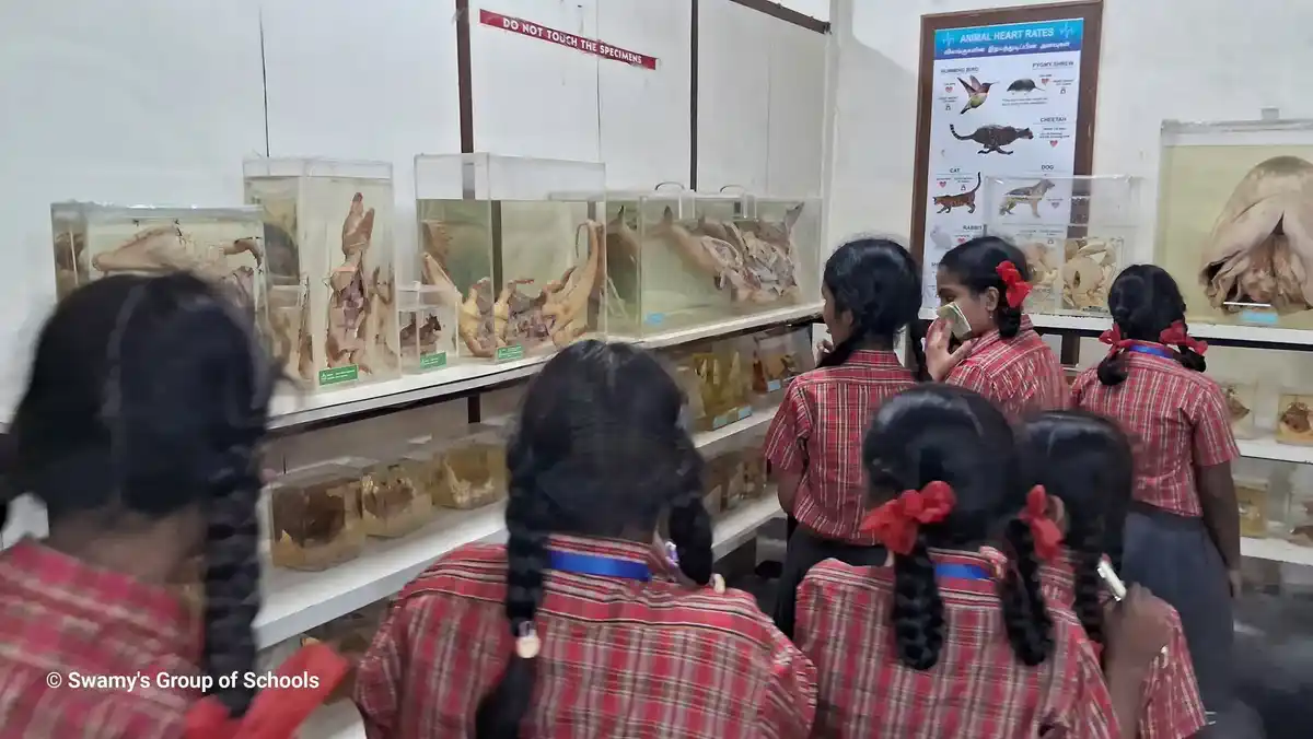 Class VI Field Trip Birla Planetarium